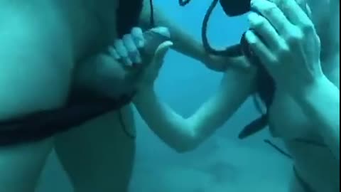 自由潛水新體驗